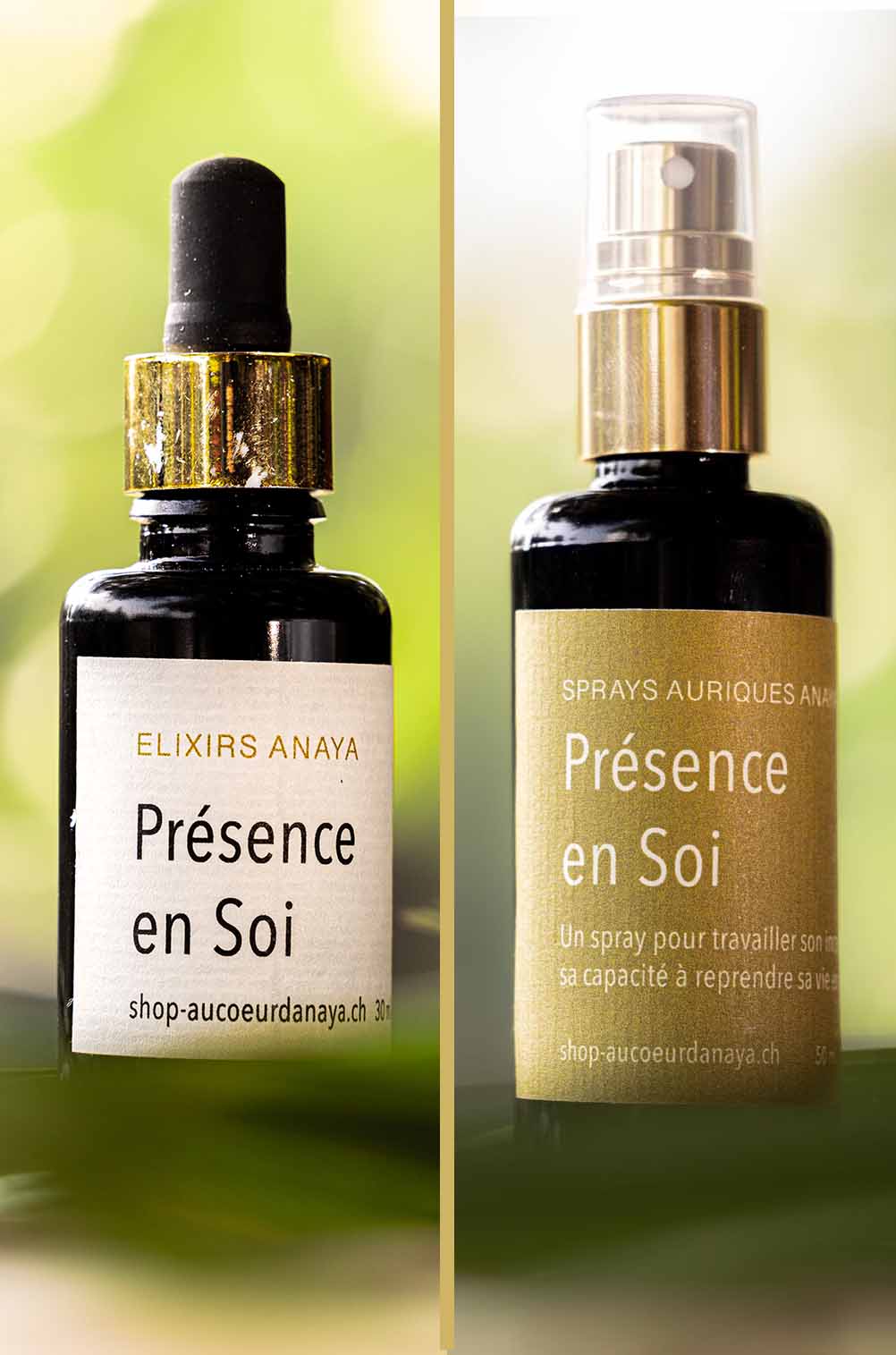 Elixir & Spray Aurique Présence en Soi - Ouvrir son Chakra Racine